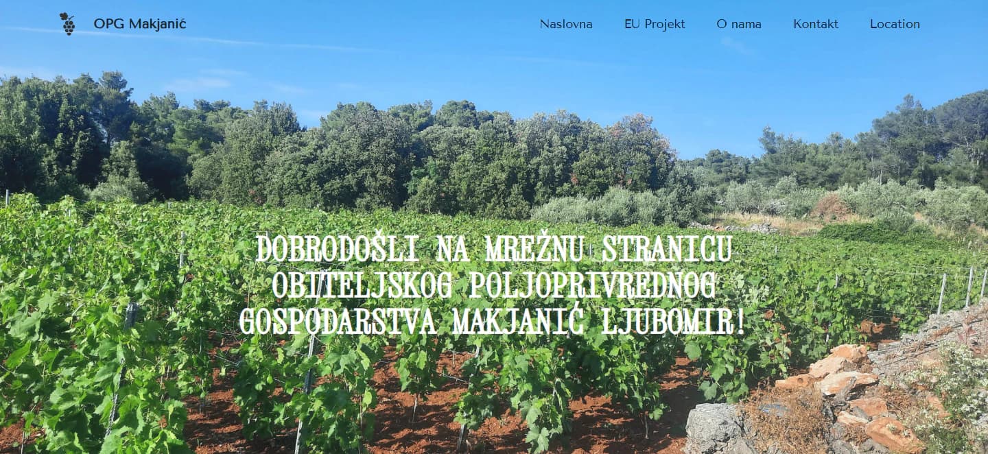 Previous OPG Makjanić desktop homepage hero
